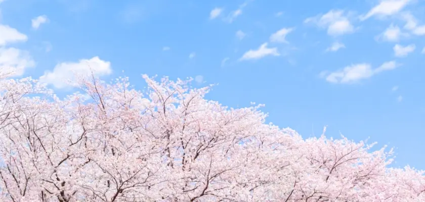 北野高校 塾⑤