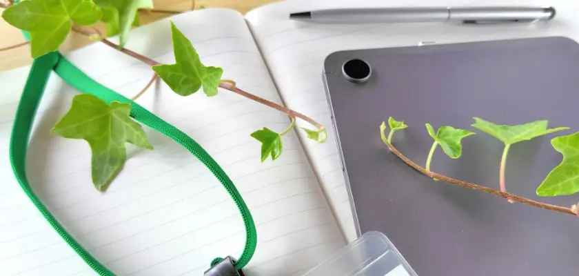 キャリア教育コーディネーター SDGs実践②