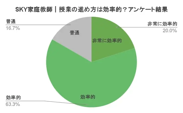 SKY家庭教師｜授業の進め方は効率的？アンケート結果
