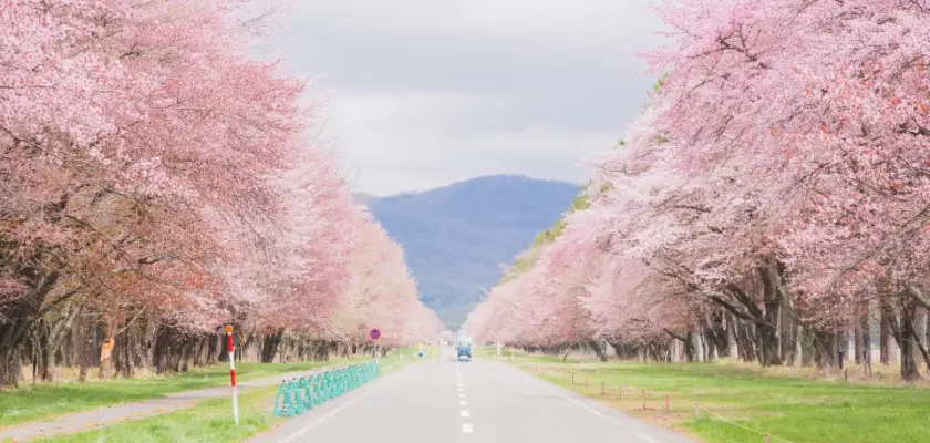 北海道大学 獣医学部 浪人生 インタビュー④