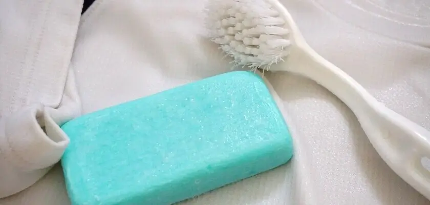 せっけん運動 琵琶湖