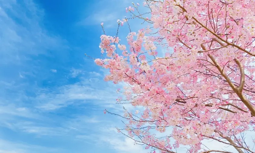 東大毎日塾 浪人④